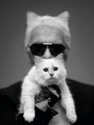 rogue-saint:  Karl & Choupette Photo by Karl Lagerfeld for Harper’s Bazaar