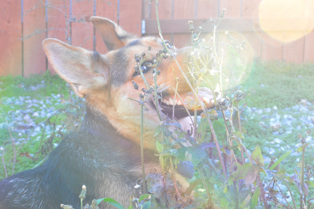 Lovely girl✨🌈🌿

  

🌛Instagram- megarahmoon