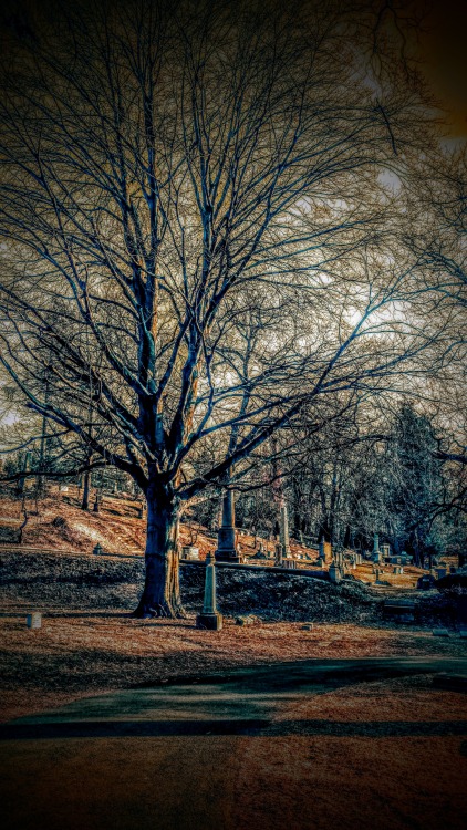 swforester: postcard from an old cemetery springfield cemetery 2016 