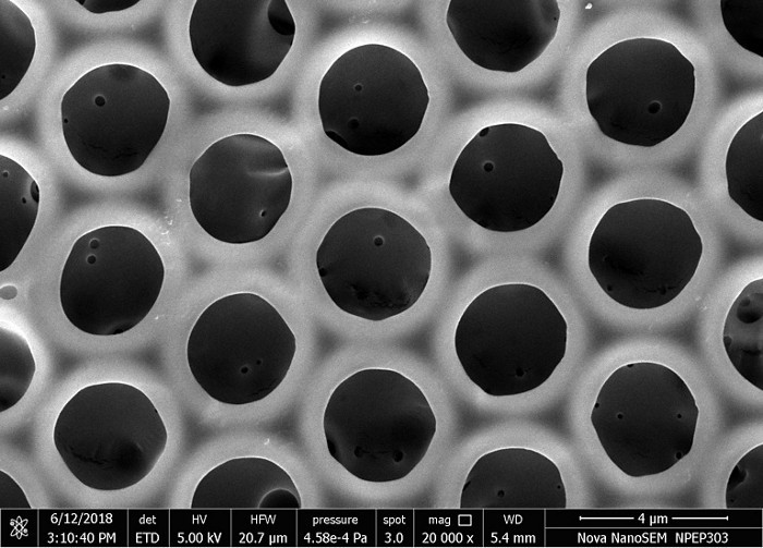 Trypophilia
Trypophobia, an aversion to things with semi-regular textures of small holes, has been an on-again off-again internet darling in recent years. But on the microscale, such patterns are an active area of research as membranes and scaffolds...