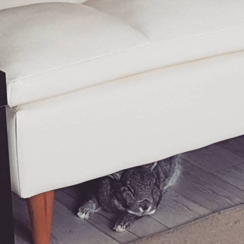 instagram beautiful boy slowly falls asleep under sofa