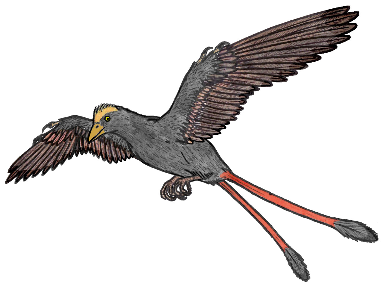 Aerodactylus - Wikipedia