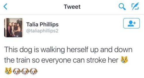 https://lifeunexpurgated.tumblr.com/post/159973414084