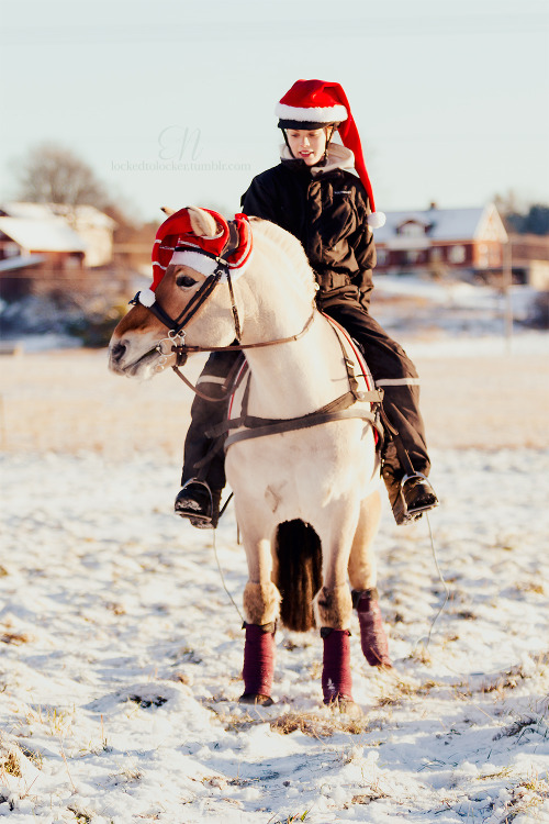 santa horse