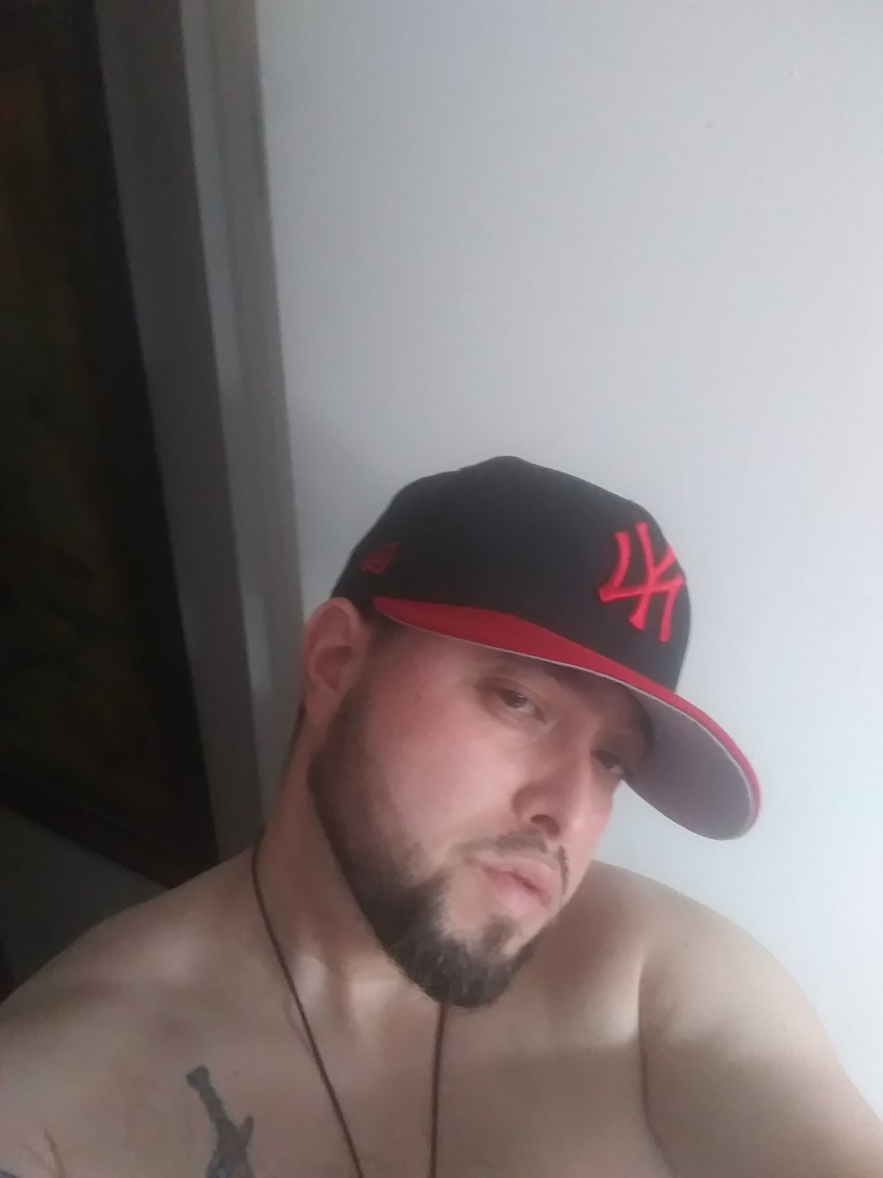 Latin Chub