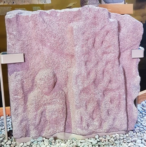 St. Vigeans Pictish Stones Set 4, Angus, 26.5.18.