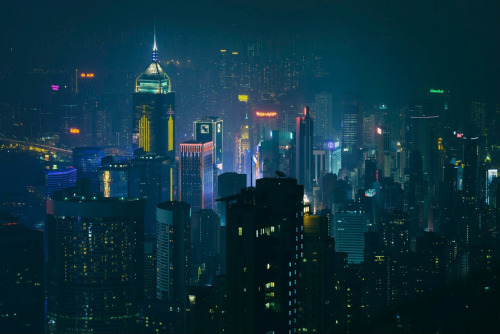 cityneonlights:  Light in the Dark by Peter Stewart `cityneonlights
