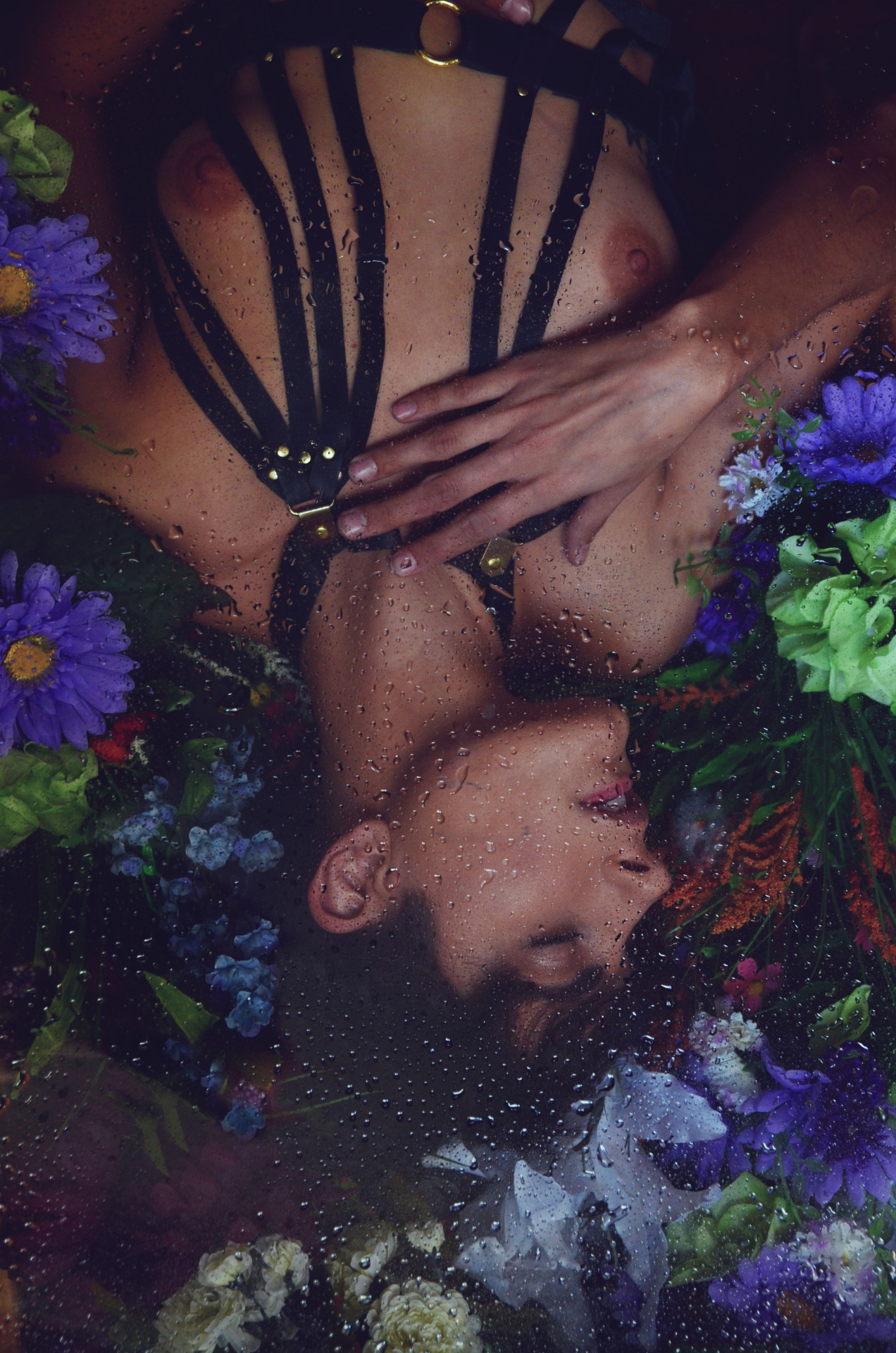 roarieyum:  Roarie by Freshie Harness by Love Lorn Lingerie 