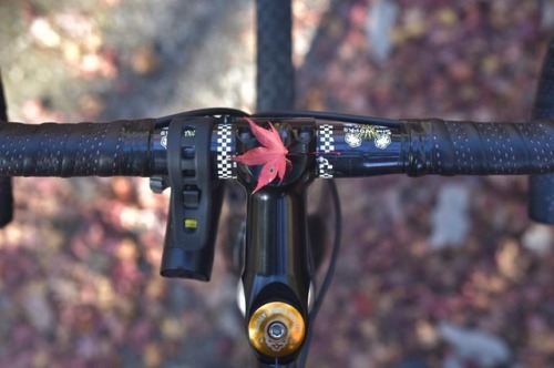 sho0414: もう冬 #swwondererbar  #swcockpit  #bikethomson  #goldensaddlecyclery  #wildernesstrailbikes  