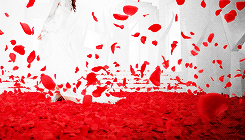 joomnyun-deactivated20140309:  snsd + red; mvs 