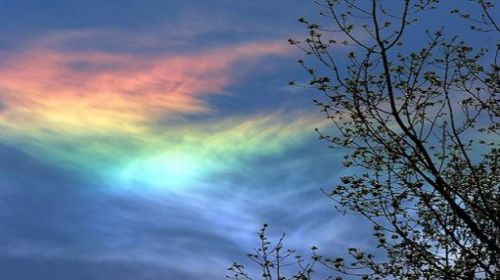 sixpenceee:A circumhorizontal arc is when an ice-halo is formed by plate-shaped ice crystals in cirr