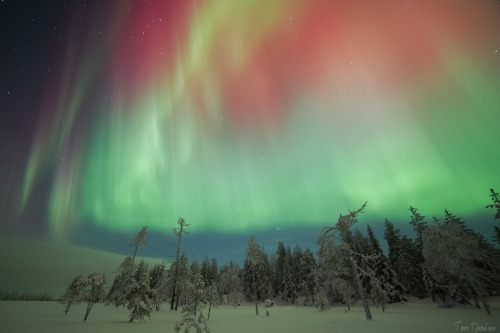 tiinatormanenphotography: Wish you all a fantastic 2015 !! Some natural fireworks ;) 