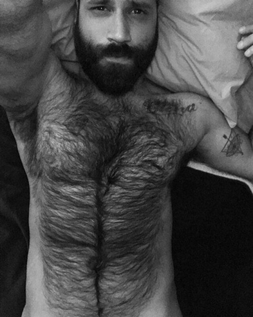 hairyhungnbearded:An Island of Sexy Fur! #hairy #furry #fur #man #bear #bearded #handsome #hairypits