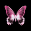 butterflygotic