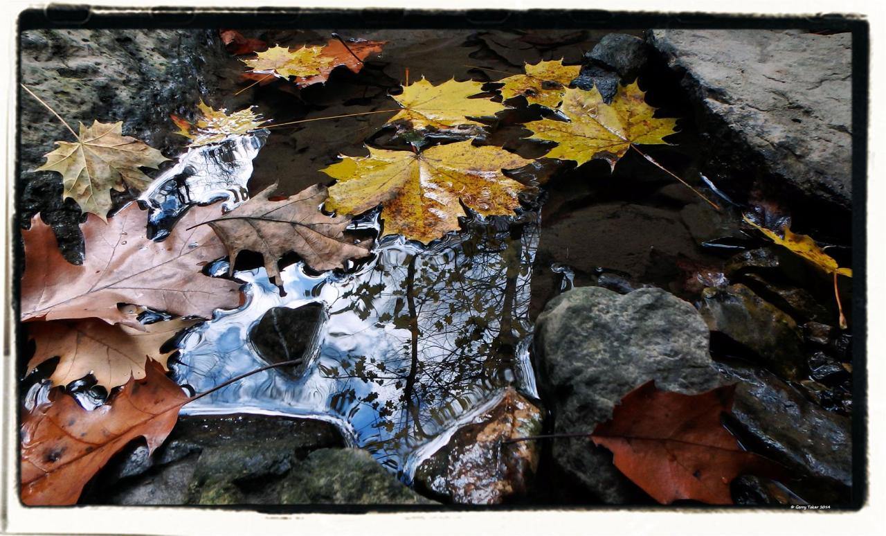 tokarphoto:  Reflections of where we used to be… Tiffany Falls,Hamilton, ON. Canada