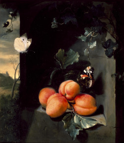 heaveninawildflower:  &lsquo;Still Life With Apricots and Butterflies&rsquo; (1683) by Jan Mortel (1652–1719). Museum of Fine Arts, Houston  fgEX0XPJF4kR7w at Google Cultural Institute via Wikimedia 