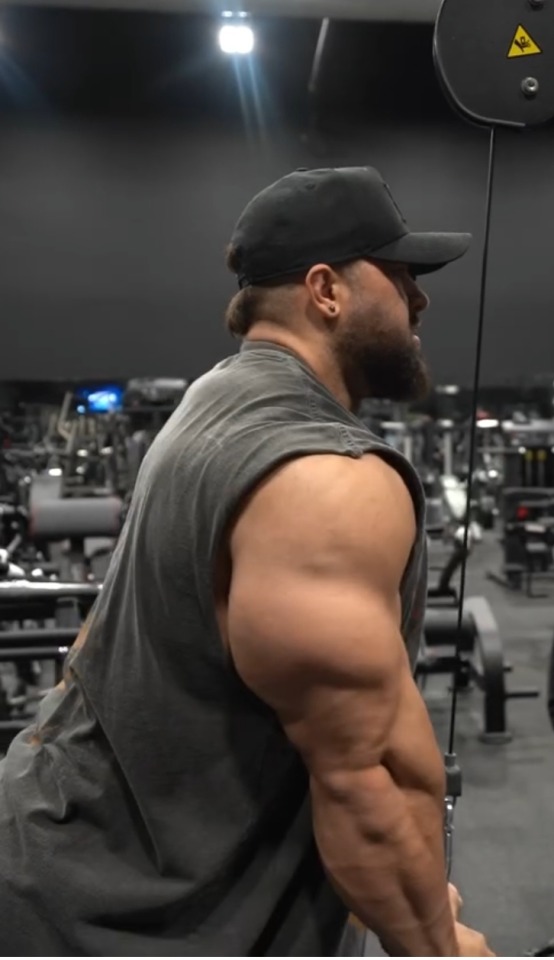 Tricep Big As Legs