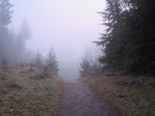 post-hardcore:  stornncloucl:  this is literally the only perk of walking to school  ohh qué bello, quieroquiero x- ( 