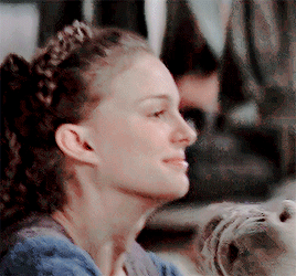 Skywalker Saga Romances + Friends To Lovers Trope