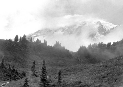 Mount Rainier National Park 