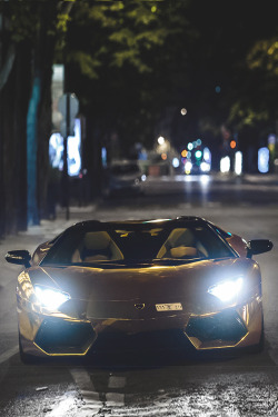 italian-luxury:  Oro Aventador