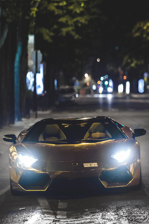 italian-luxury:Oro Aventador