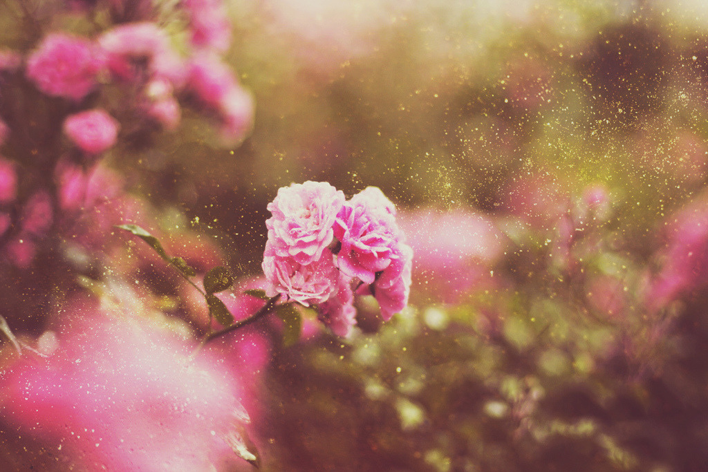 englishsnow:  by ►i.Anton 