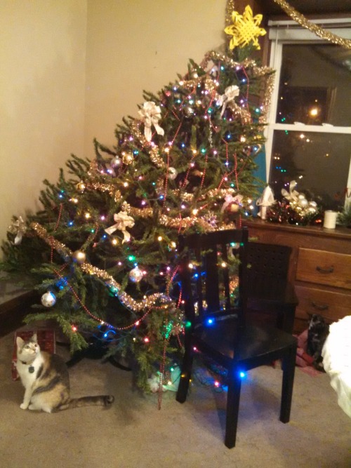 kittymudface:So someone decided to not only knock over the tree, but also to somehow bend the stand.