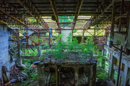 endonesia-urbex:   Abandoned “Taro Mine” - B 田老鉱山 2016,日本 