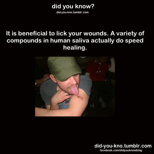 did-you-kno:  Source
