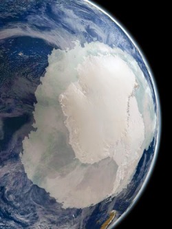 mucholderthen:  Incredible view of Antarctica with sea ice at its maximum, in the month of September [on September 21, 2005], made from the data taken by the AMSR-E instrument, a device designed to capture temperatures and sea ice concentration onboard