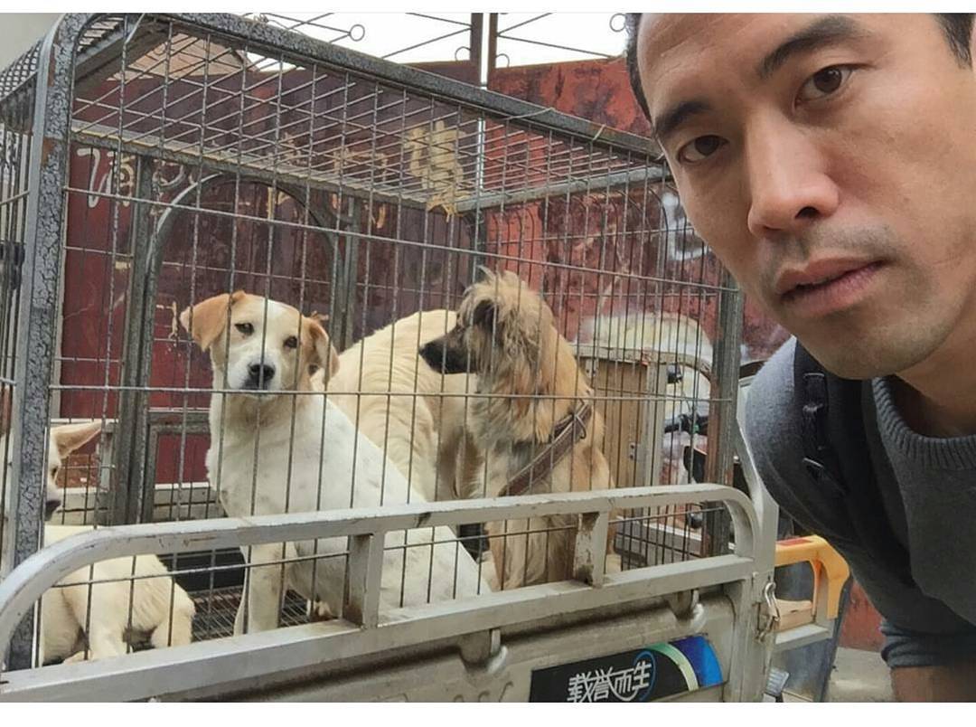 To me. Any animal abuse is horrendous&hellip; Yet. But because our society owns