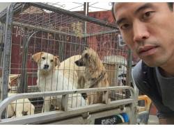 To me. Any animal abuse is horrendous&hellip; Yet. But because our society owns dogs as family members, the abuse seems to hit home harder for many -This guy is putting himself through absolute soul-tearing-hell to get the footage needed to expose the