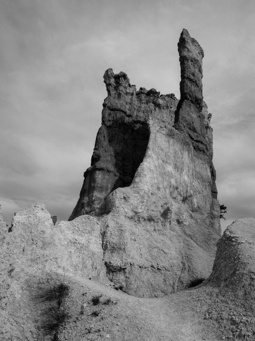 cysewski:Bryce National Park