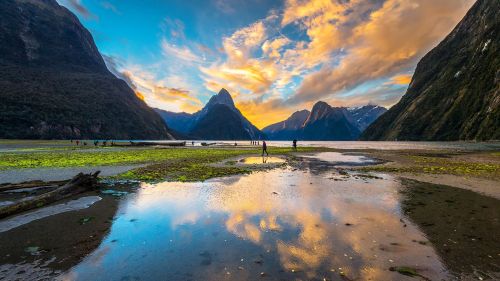 photos-worth: Paradise Field, by GenesisBeautiful sunset at Milford sound, New Zealand