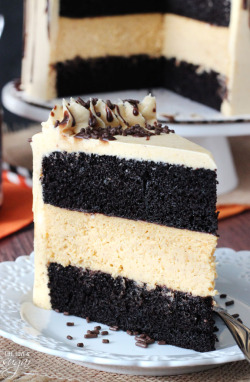 verticalfood:  Chocolate Pumpkin Cheesecake Cake