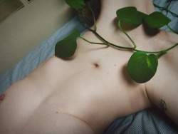 carnal-prince:I probably traumatized my houseplant for these pics