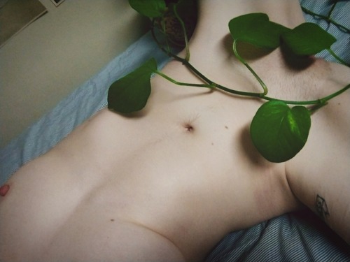 carnal-prince:I probably traumatized my houseplant for these pics