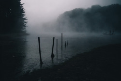 imaginaryenemy-:  Ghosts on the Lake (by .monodrift) 