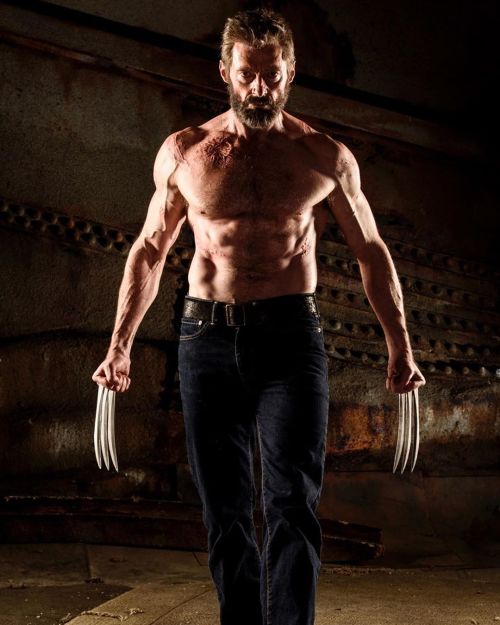 tinglingpeter:Hugh Jackman as Wolverine 