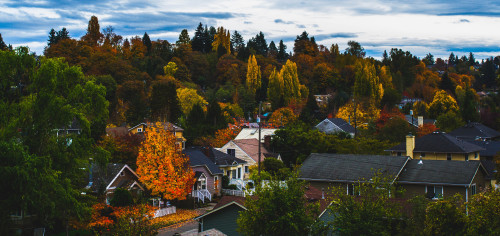 pacific northwest in autumn//