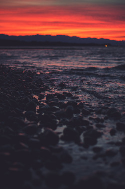 deeplovephotography:  flickr | facebook | society6