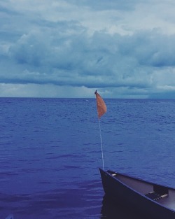 A moody canoe trip on the lake, Summer 2017, Louisiana