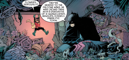 lets-stop-the-killings-of-robins:seinemajestat:[Batman v2 19]No not thisPleaseIt hurts