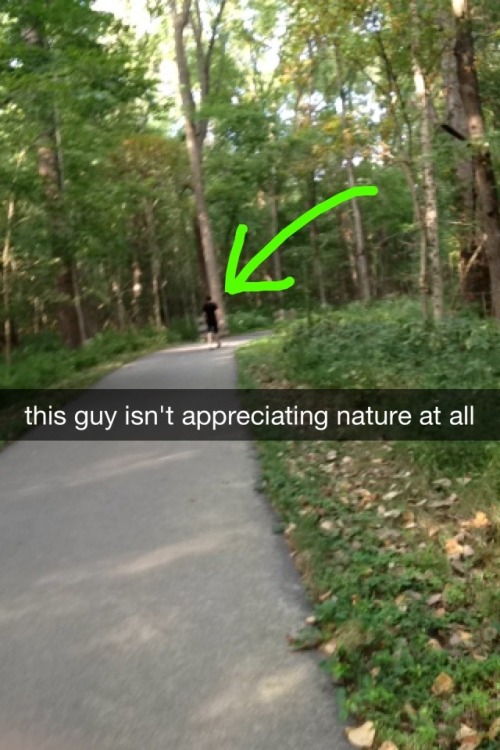 janksy: a series of snapchats that i sent to lauren on my walk in the nature park