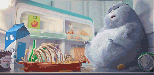 tastefullyoffensive:  Video: ‘The Secret Life Of Pets’ Official Teaser Trailer