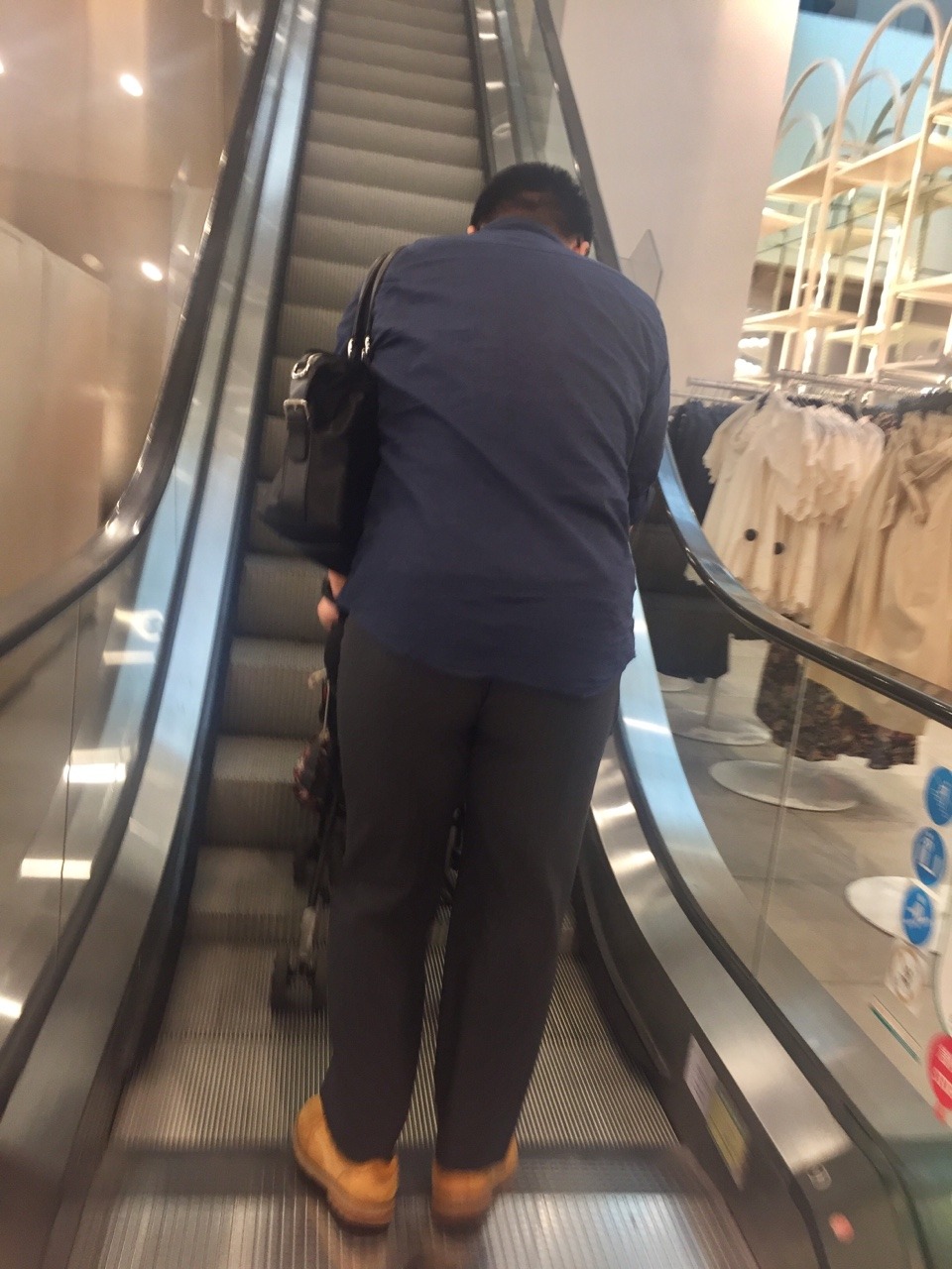CN bear in Public 熊
