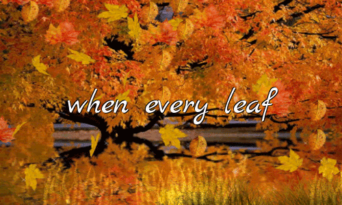 Autumn Is A Second Spring When Every Leaf Is A Flower - Albert Camus