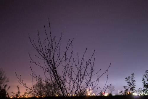 thoughtlessfroth: 04.02.15 // Eugene, Oregon