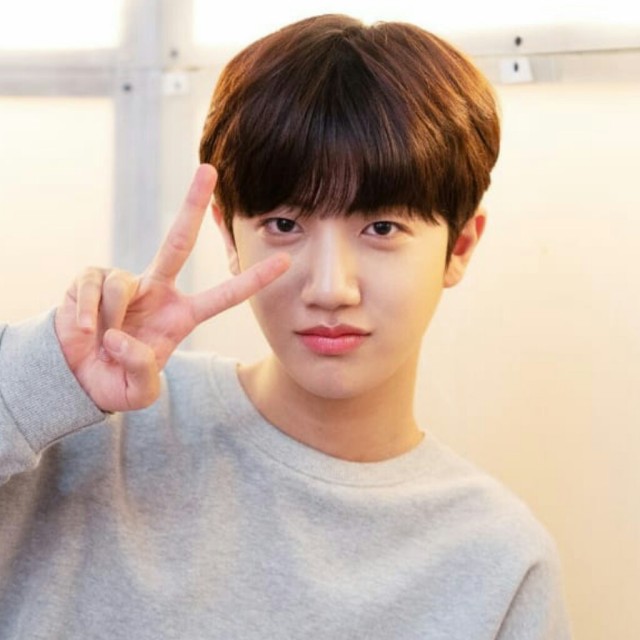 ham wonjin icons on tumblr ham wonjin icons on tumblr